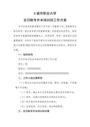 X城市职业大学全日制专升本工作方案.docx