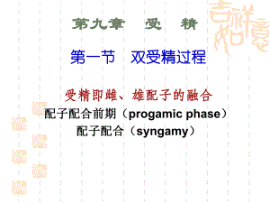 被子植物双受精过程.ppt