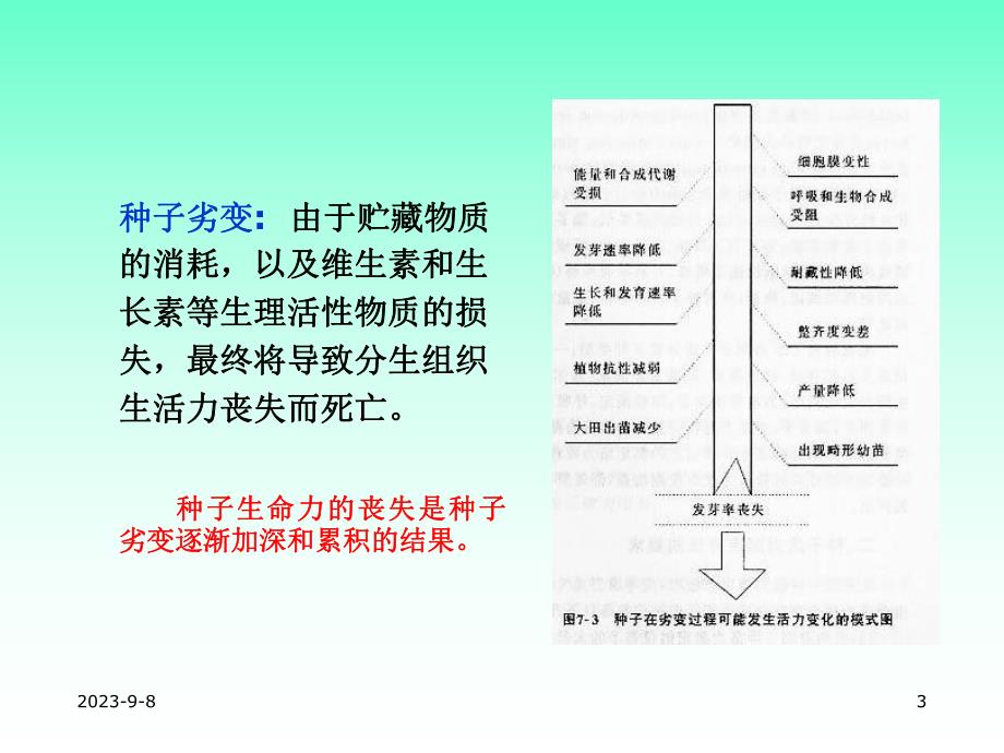蔬菜种子工艺学田振东02第二章蔬菜种子贮藏.ppt_第3页