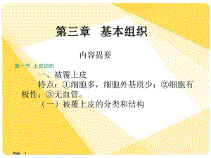 解剖学课件基本组织.ppt
