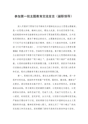 参加第一批主题教育交流发言(副职领导).docx