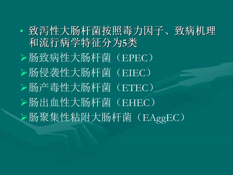 致泻性大肠杆菌.ppt_第3页