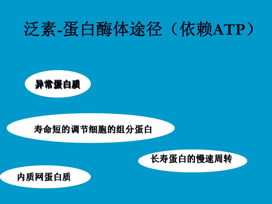 蛋白降解途径.ppt_第3页