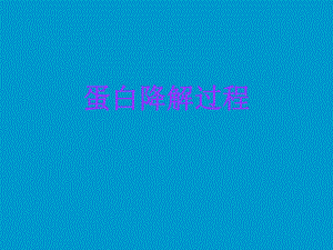 蛋白降解途径.ppt