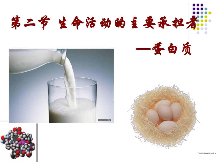 蛋白质1011.ppt_第1页