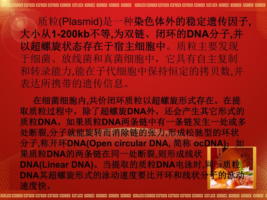 质粒提取方法.ppt_第2页