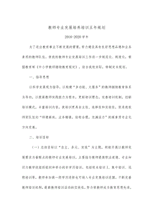 教师专业发展培养培训五年规划.docx