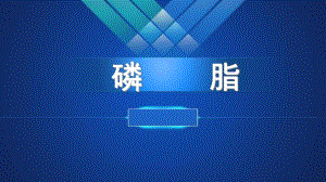 解密磷脂磷脂酰胆碱和磷脂酰丝氨酸.ppt