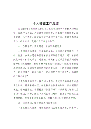 个人转正工作总结.docx