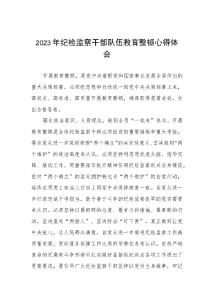 2023纪检干部队伍教育整顿研讨材料(五篇).docx
