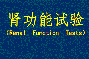 诊断学肾功能.ppt