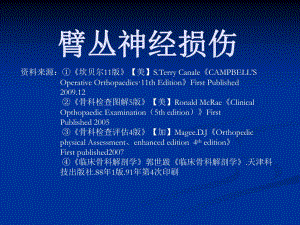 臂丛神经损伤.ppt