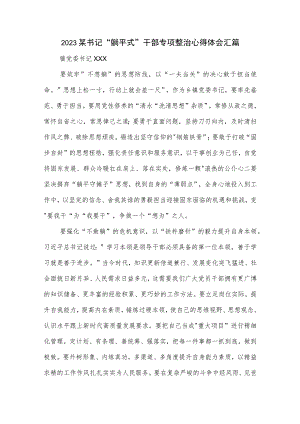 2023某书记 躺平式 干部专项整治心得体会汇篇.docx