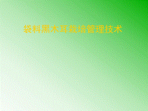 袋料黑木耳栽培管理技术.ppt