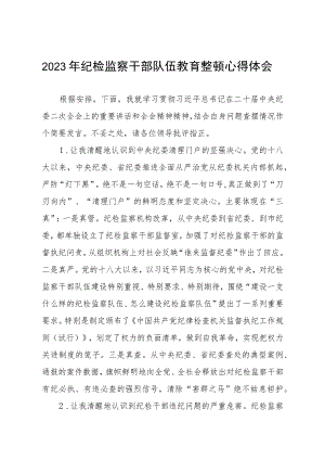 (最新版)2023年全国纪检监察干部队伍教育整顿个人心得体会(五篇).docx