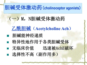 药理学胆碱受体激动药超牛.ppt