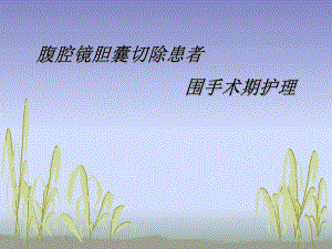 腹腔镜围手术期护理.ppt