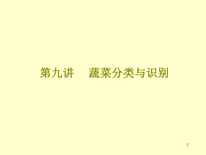 蔬菜分类与识别.ppt