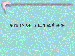 质粒DNA的提取及浓度判定.ppt