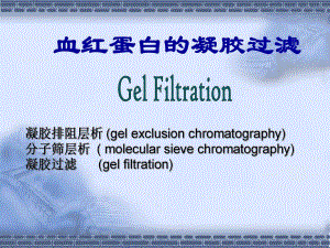 血红蛋白的凝胶过滤.ppt