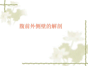 腹前外侧壁的解剖人体解剖.ppt