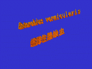蛲虫CAI教学.ppt