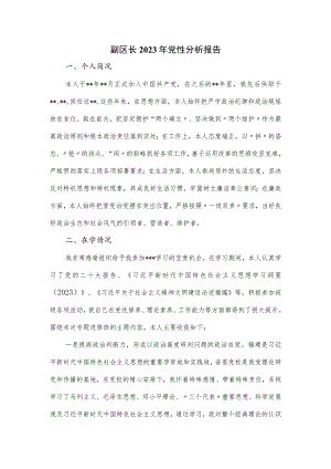 副区长2023年党性分析报告.docx