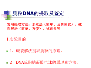 质粒DNA的提取及鉴定.ppt