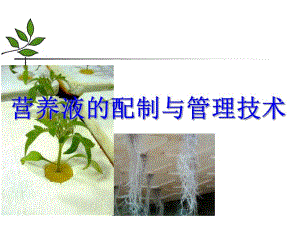 营养液的配制初稿.ppt