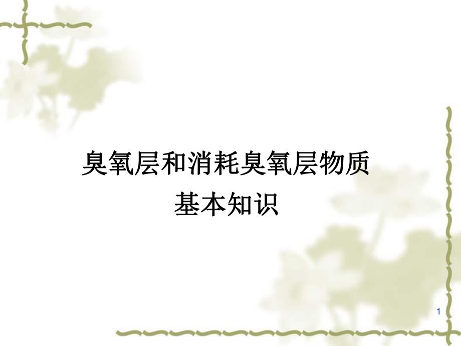 臭氧层和消耗臭氧层物质基本知识环保部.ppt_第1页