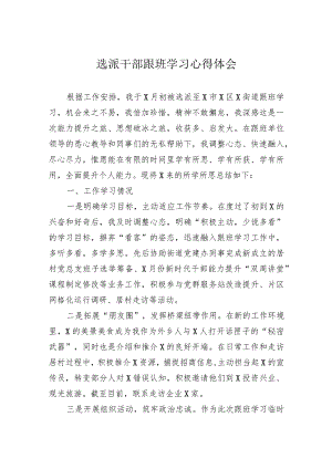 选派干部跟班学习心得体会.docx
