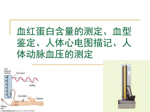 血红蛋白含量的测定血型鉴定.ppt