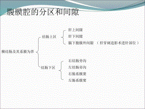 腹部结肠上区.ppt