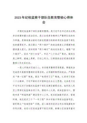 纪检监察干部队伍教育整顿心得体会发言(五篇).docx