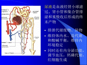 诊断尿液的检测.ppt