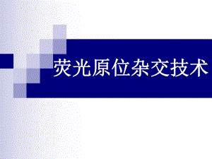 荧光原位杂交更新.ppt