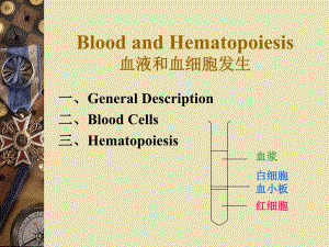 血液和血细胞发生.ppt