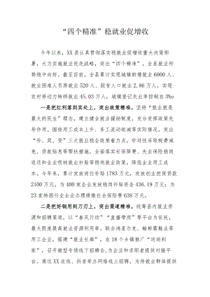 “四个精准”稳就业促增收.docx