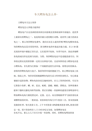 冬天鳄鱼龟怎么养--大鳄龟冬天怎么饲养.docx