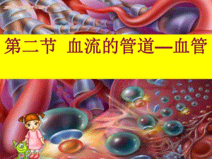 血流的管道血管.ppt