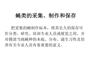 蝇类标本的采集制作保存和灭蝇效果的考核评估.ppt