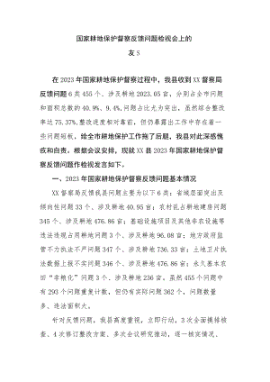 国家耕地保护督察反馈问题检视会上的发言.docx