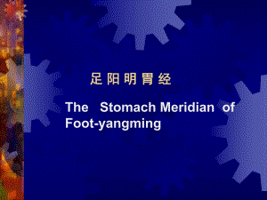 足阳明胃经教学课件.ppt