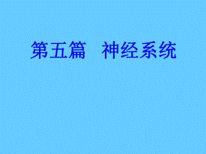 试讲脊髓课件.ppt