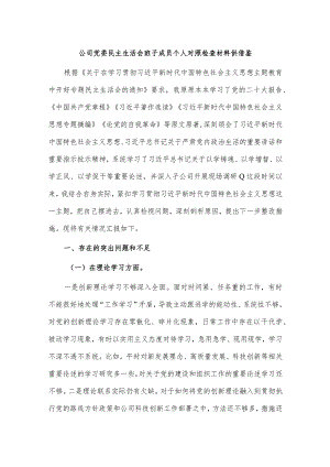 公司党委民主生活会班子成员个人对照检查材料供借鉴.docx