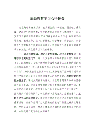 主题教育学习心得体会.docx
