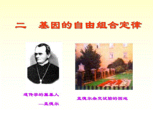 自由组合定律技巧.ppt
