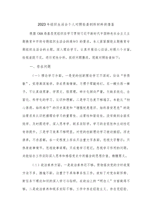 2023年组织生活会个人对照检查剖析材料供借鉴.docx