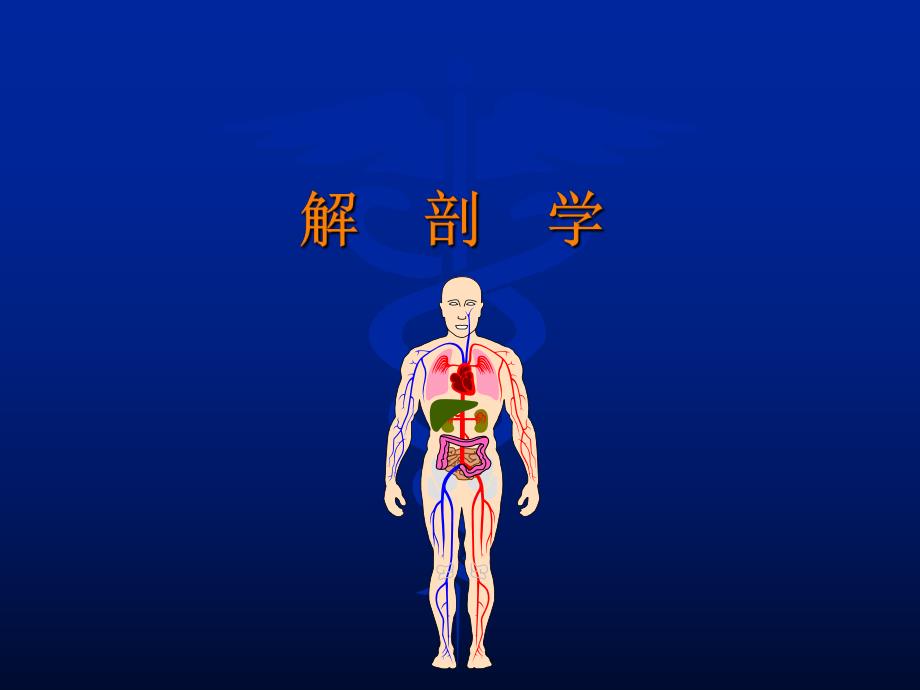 腹腔间隙隐窝在临床外科中的作用.ppt_第2页