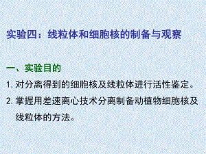 药学院实验四线粒体和细胞核的制备与观察.ppt